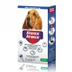 Капли KRKA Ataxxa Спот-Он от блох и клещей для собак весом от 25 кг, 4 мл